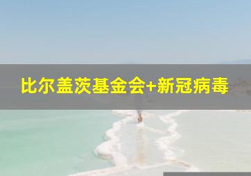 比尔盖茨基金会 新冠病毒